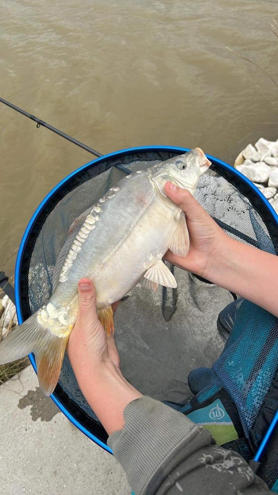 Lakeside Fishing Retreats Boston Rum bild