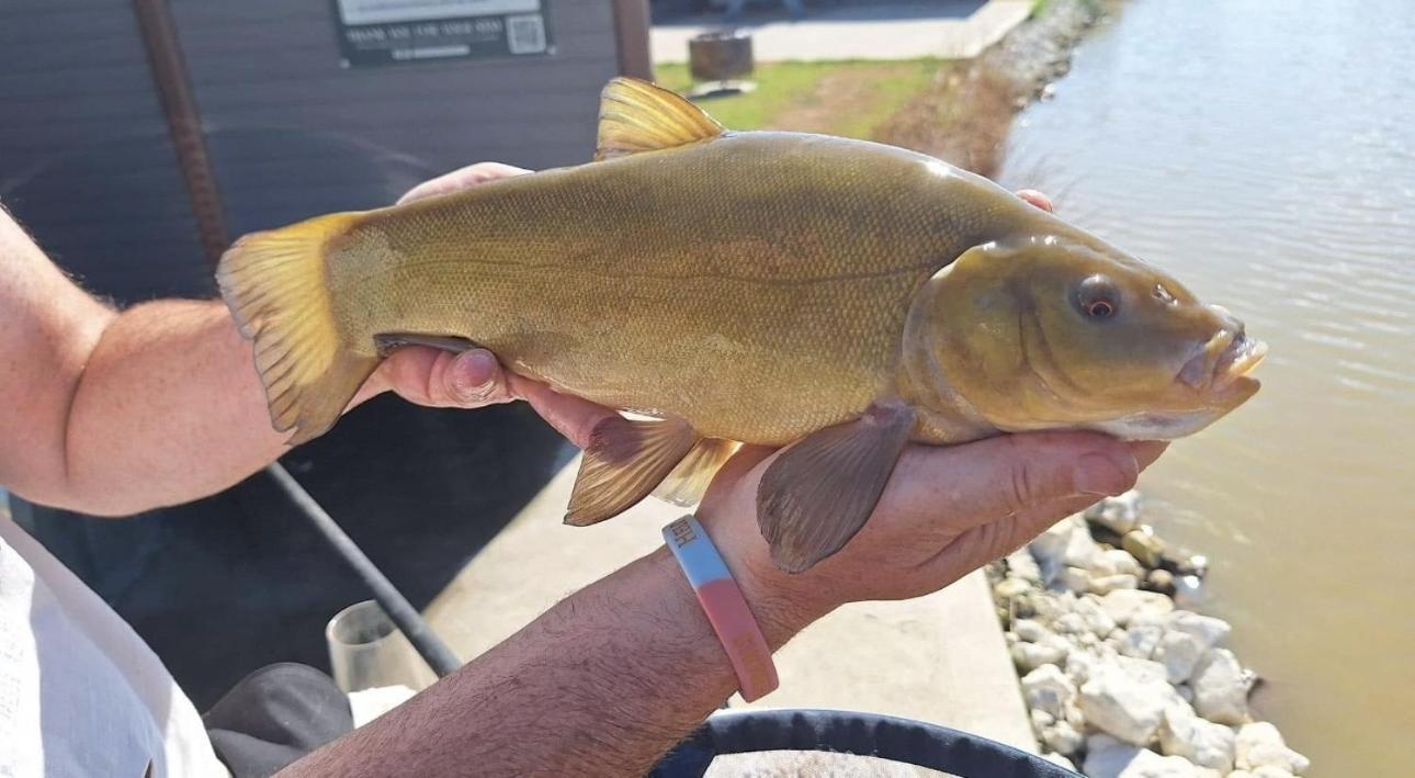 Lakeside Fishing Retreats Boston Rum bild