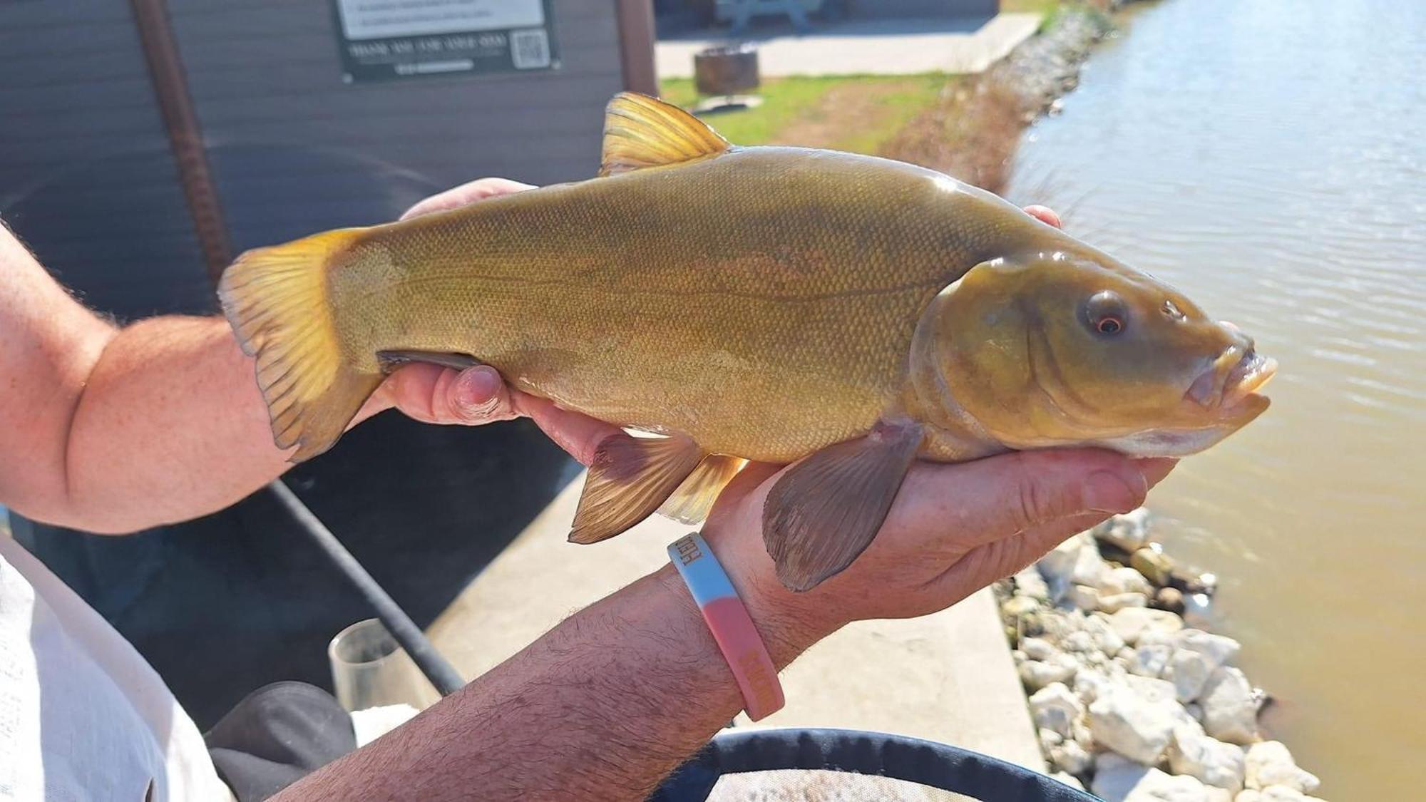 Lakeside Fishing Retreats Boston Rum bild