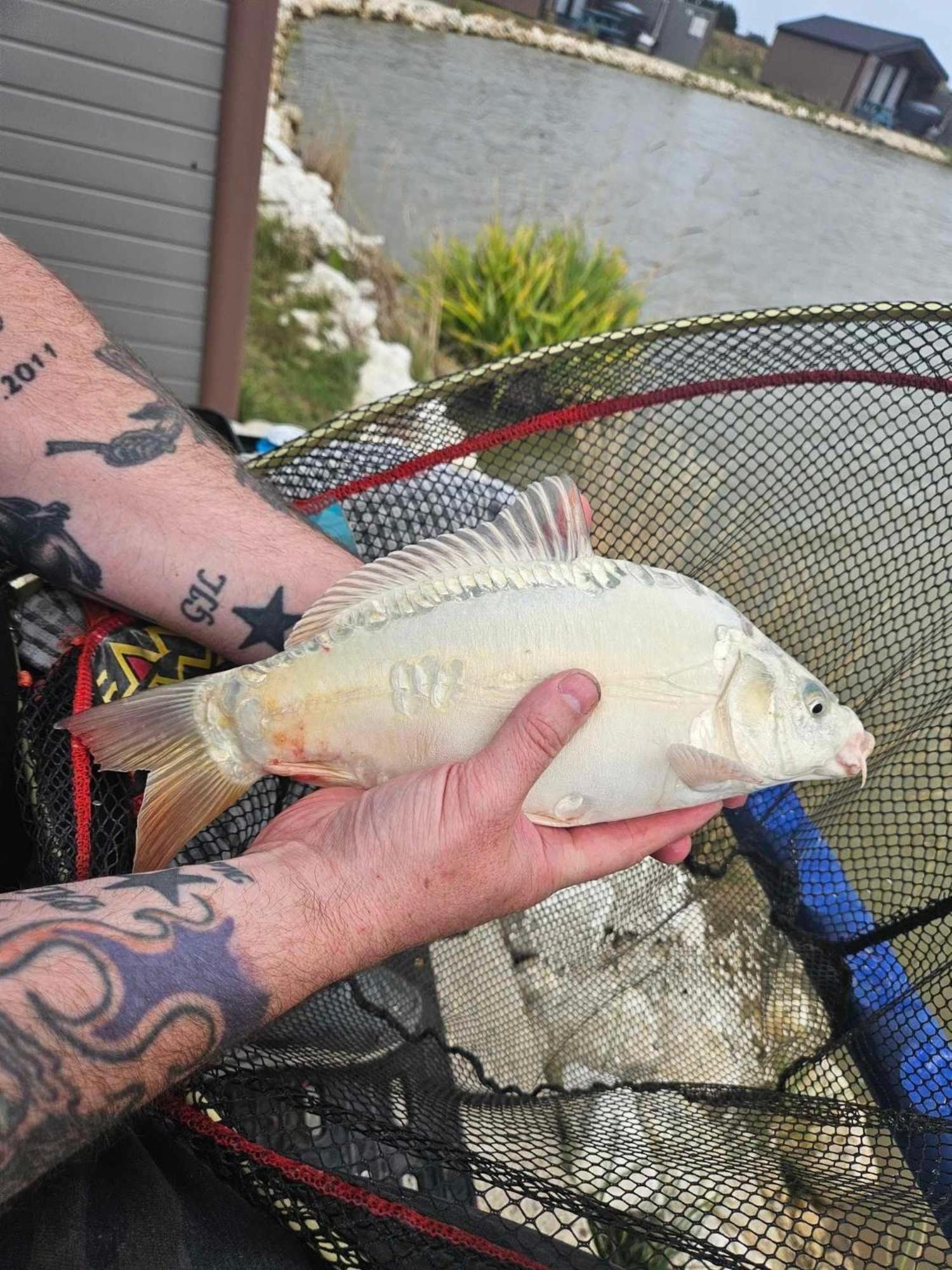 Lakeside Fishing Retreats Boston Rum bild