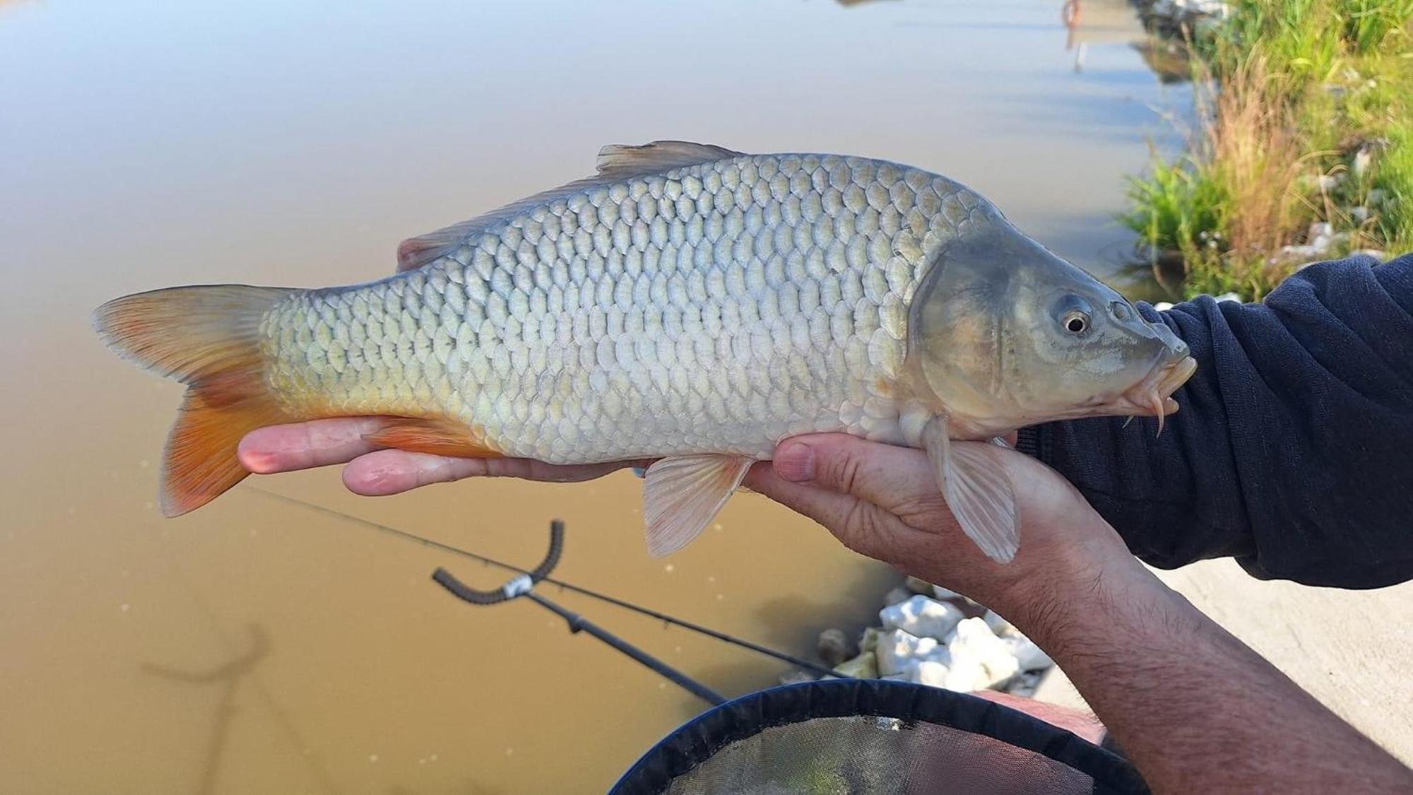 Lakeside Fishing Retreats Boston Rum bild